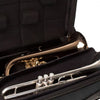 PROTEC Single/Double/Triple Horn Zip Case - Black