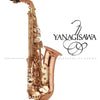 YANAGISAWA "WO Series" Professional Eb Alto Saxophone - All Bronze